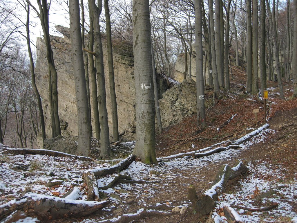 Oberer Weg zu den Felsen, Foto Februar 2004